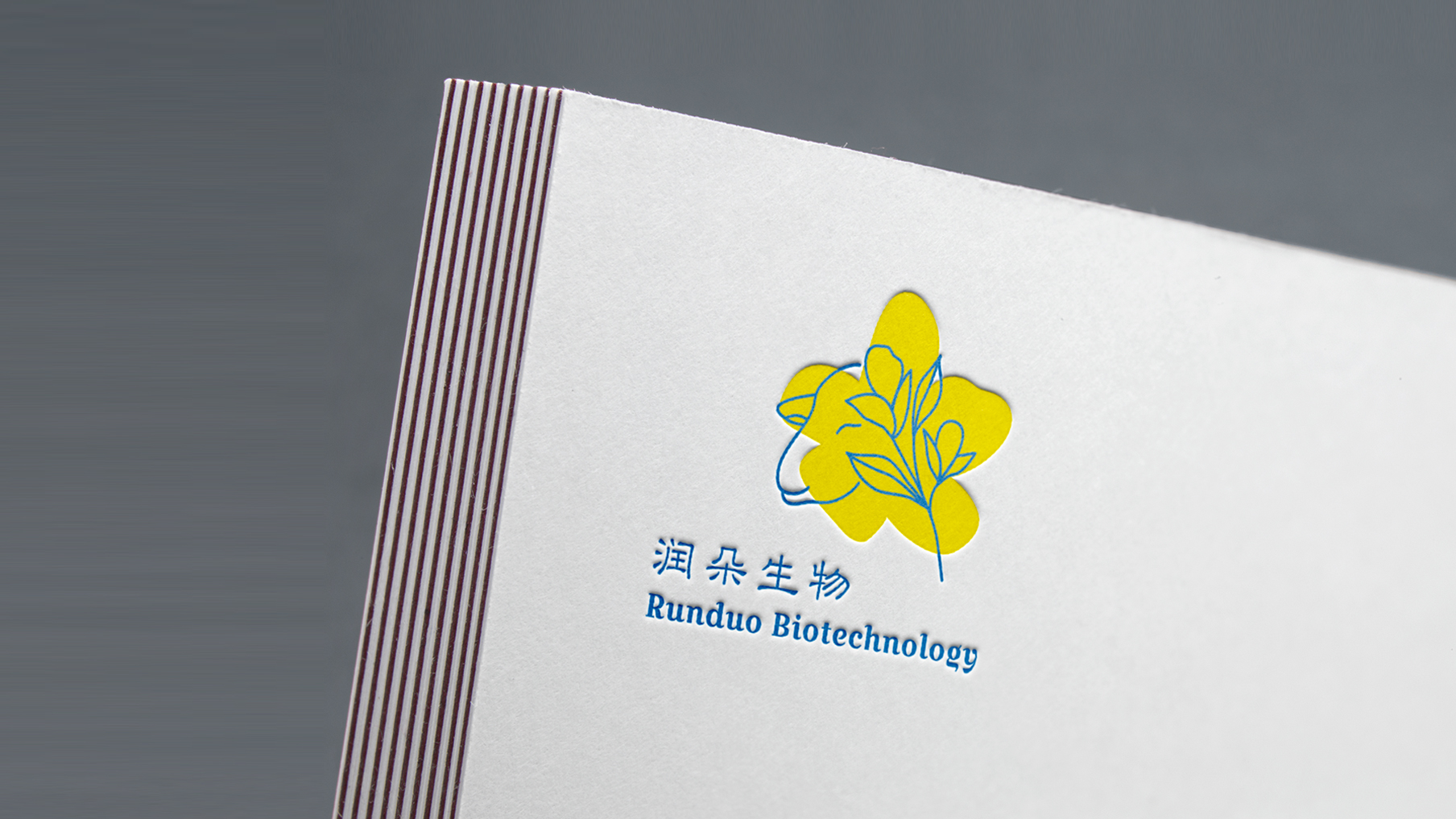 Runduo Biotechnology